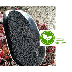Czarnuszka nasiona